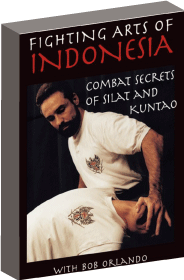 DVD シラット・クンタオ インドネシア武術 Kuntao Silat 