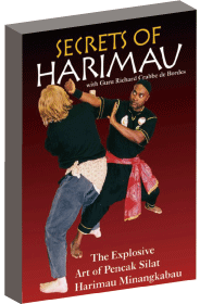 DVD ペンチャク・シラット ハリマウの極意 Secret of Harimau