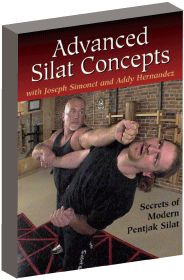 DVD シラットコンセプト Vol.2 上級編 Silat Concepts Advanced